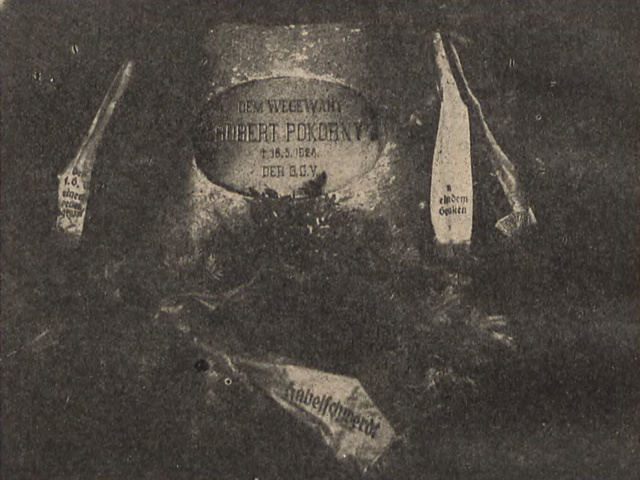 Foto des Pokorny-Steins