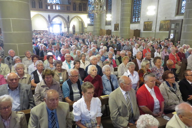 69. Glatzer Wallfahrt in Telgte 2015: Die Wallfahrer in der vollbesetzten Wallfahrtskirche