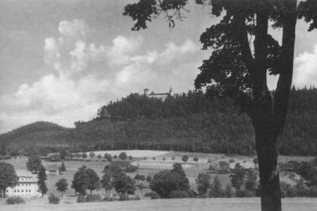 Blick zur Burg Waldstein